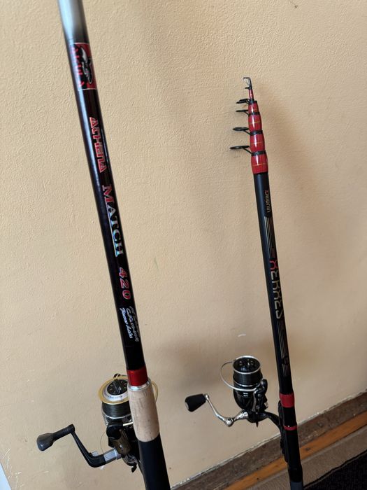 Два телемача с макари