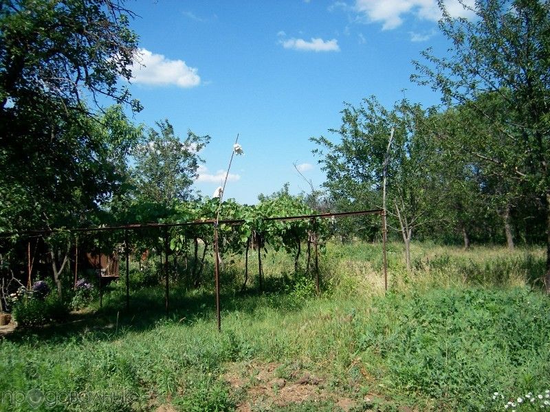 Продавам къща с двор от собственик с.Рогозен Врачанско