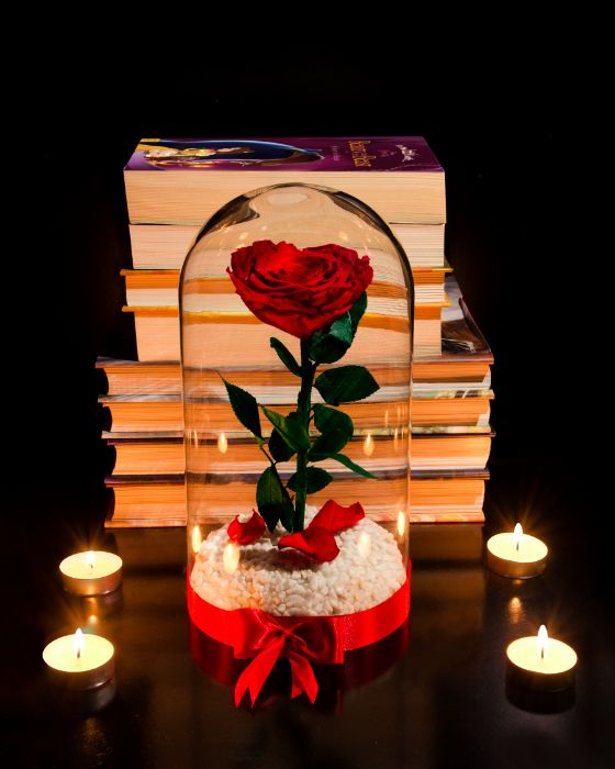 Жива Вечна Роза в ГОЛЯМА Стъкленица / Подарък за Рожден Ден на Жена