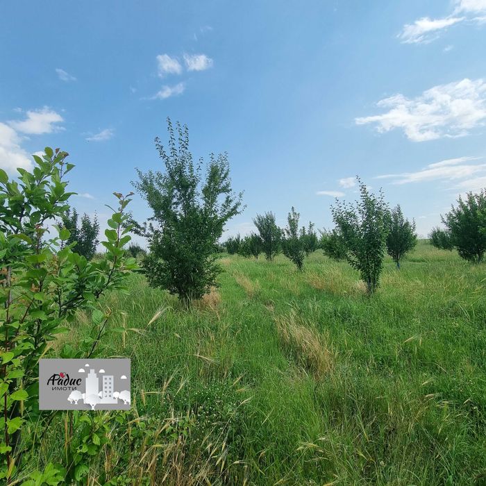 Продава се Земеделски имот в с. Ковач, Област Стара Загора -  кв.м за 2484 €/дка - Снимка #2