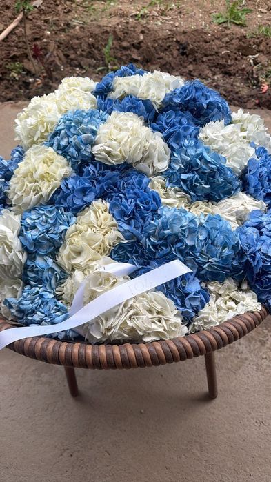 Цветы очень красивые