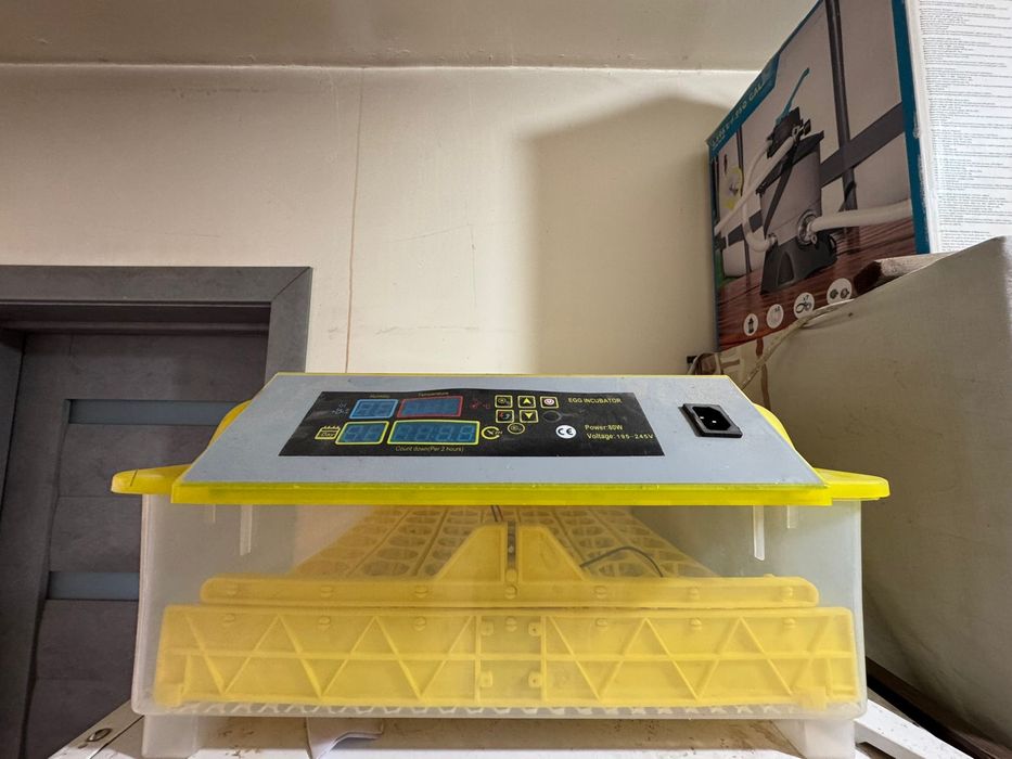 Incubator 56 oua de vanzare