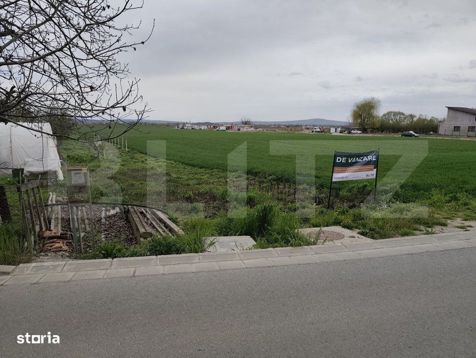 Teren 8600 mp in Podgoria