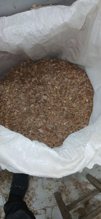 Апилка бор 1 та копи 15 000 сум