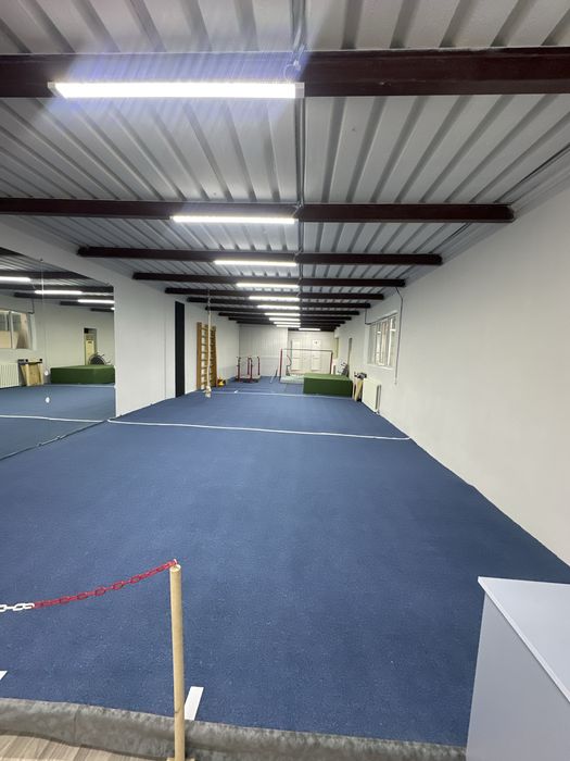 Гимнастический ковер