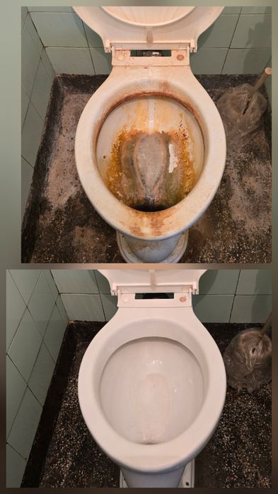 Професионално почистване