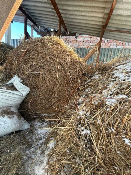 сено в рулонах 3 шт