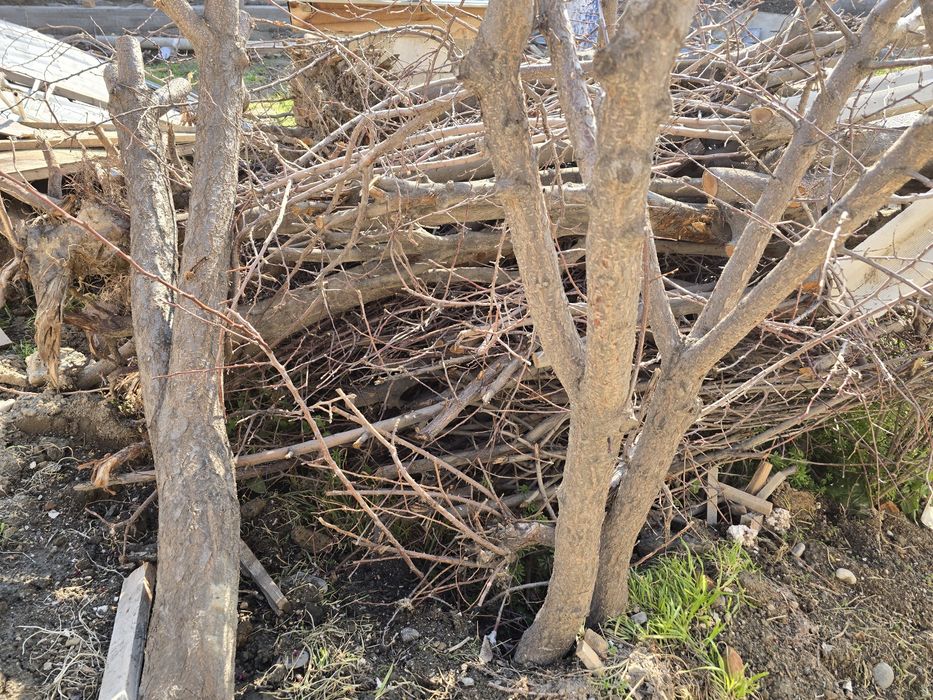 Otin bor 1 labodan ko'proq