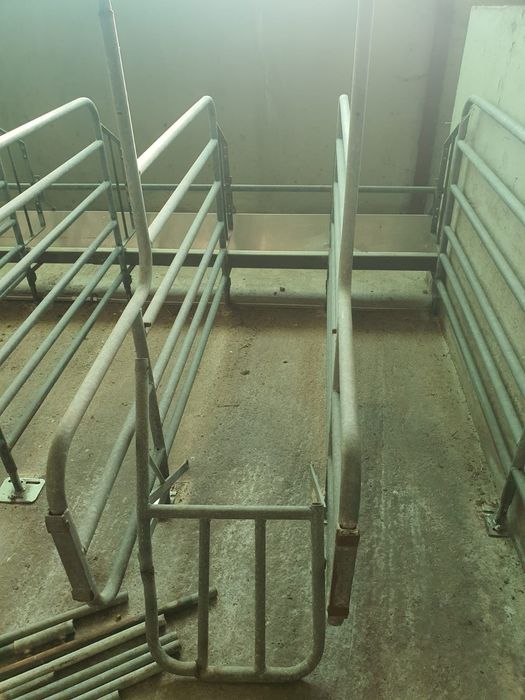 Panouri Boxe zincate  animale scroafe porci vitei zincate