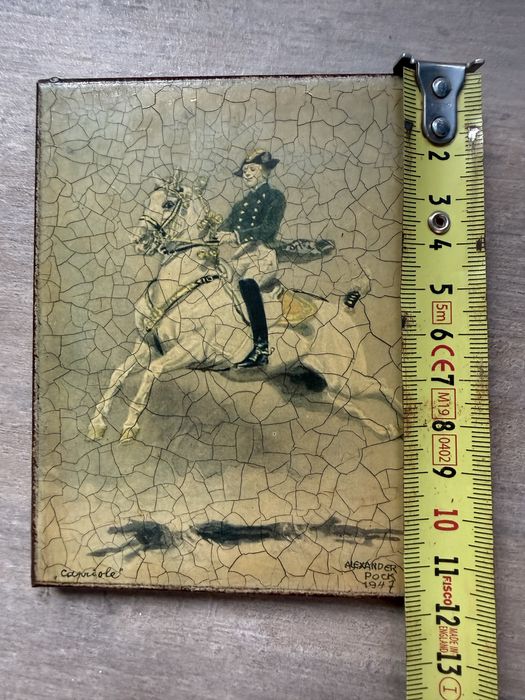 Napoleon Bonaparte