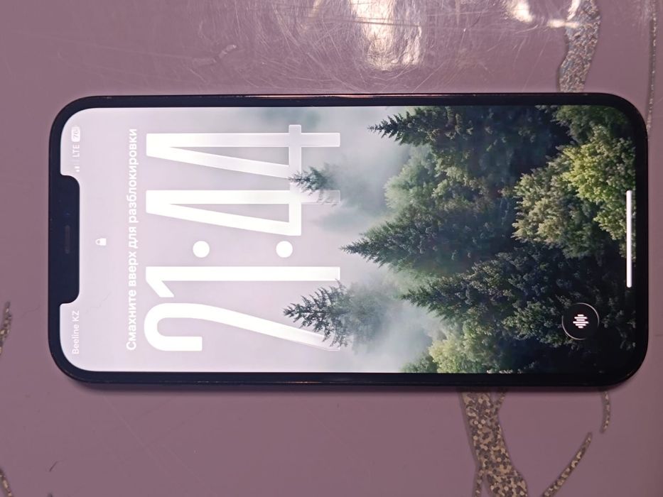 IPhone 12pro max