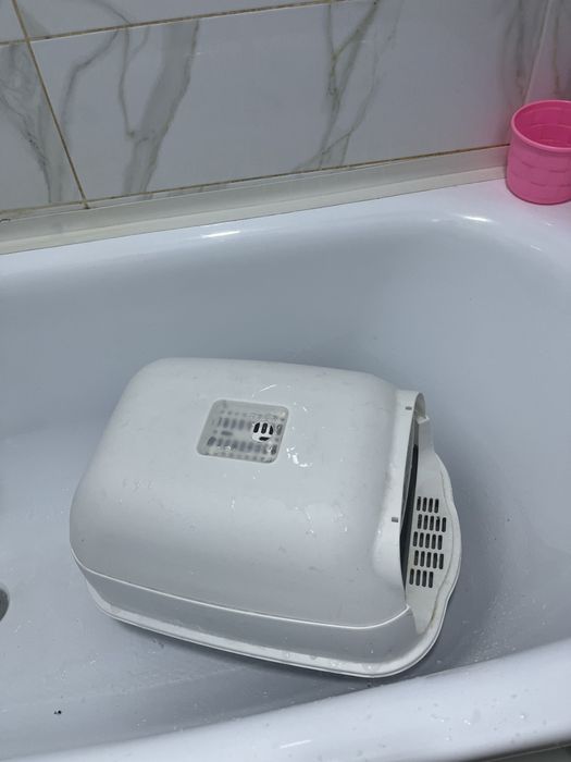 Мысықтың туалеті