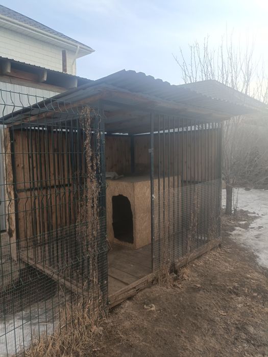 Вольер для собак