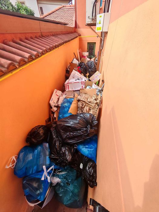 Curatenie la spatii comerciale , debarasare moloz , copaci , Gazon