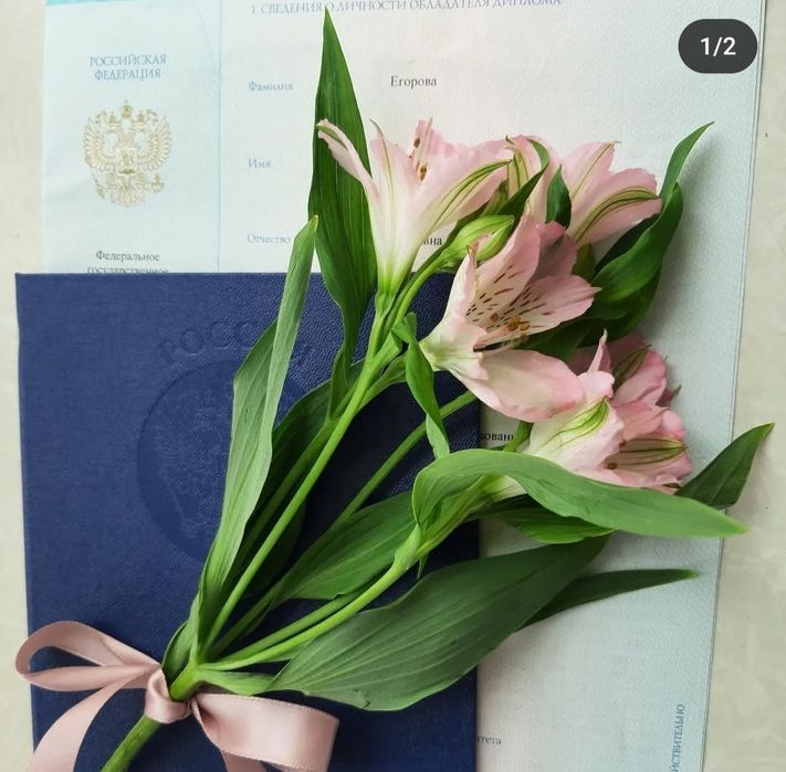 Педагог консультация