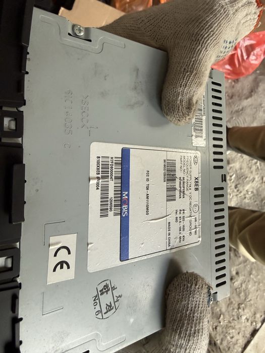 Мафон кия церато