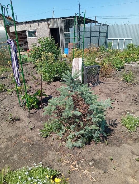 Продам отдельно стоящий дом