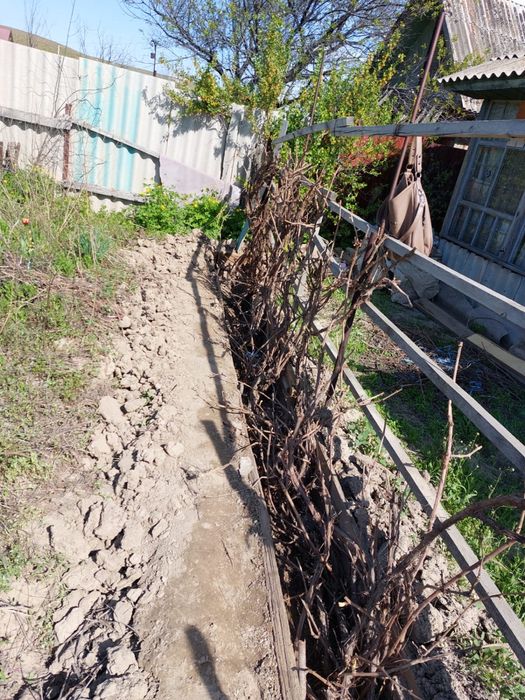 Продам Дачу на Красном камне