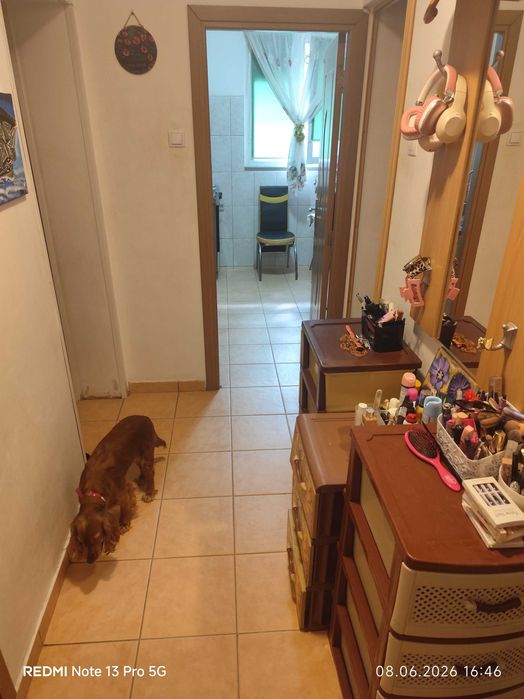 Apartament 3 camere, zona Nicolae Grigorescu