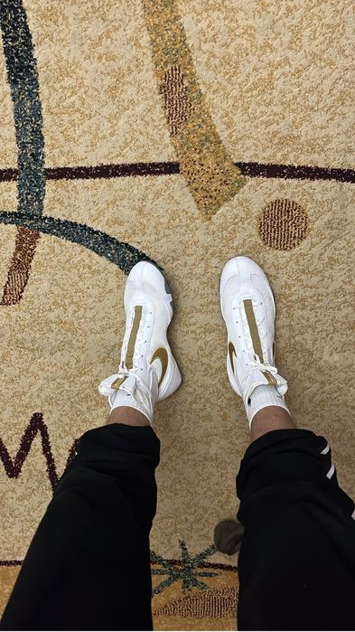 Боксерки Machomal