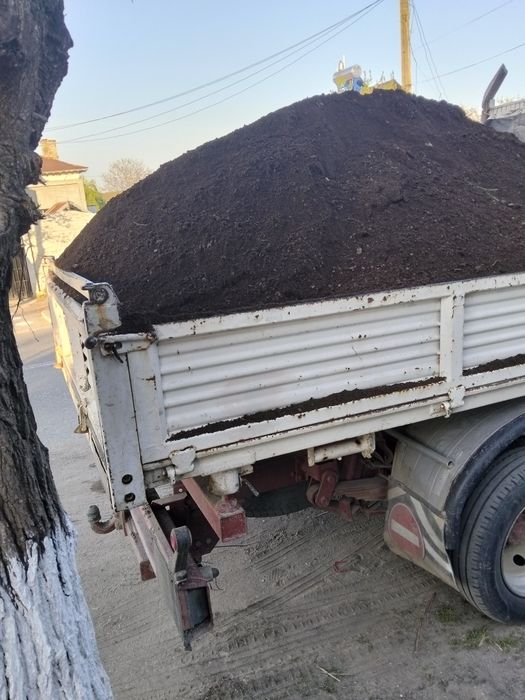 Pământ gazon gradina florii pomii mranita