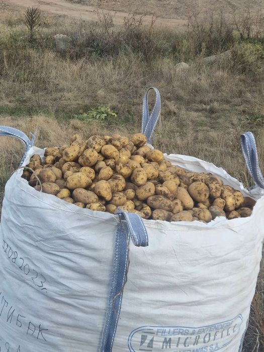 Продавам Картофи