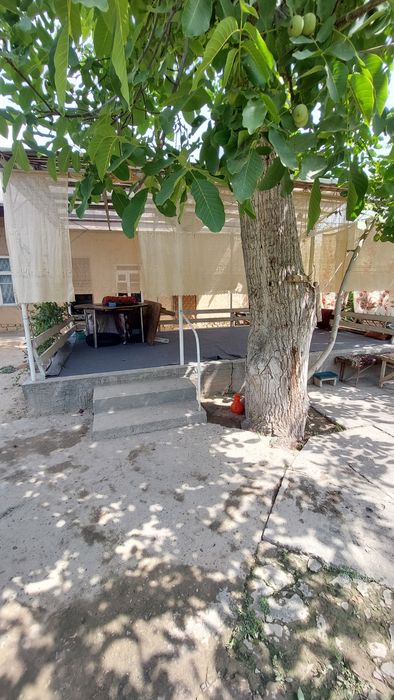 Nazarbeoda 10 sotix joy sotiladi