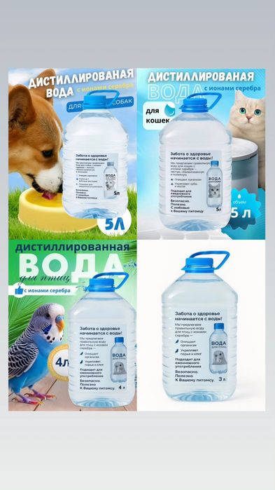Дистиллированная вода с ионами серебра для ваших питомцев – чистота, з