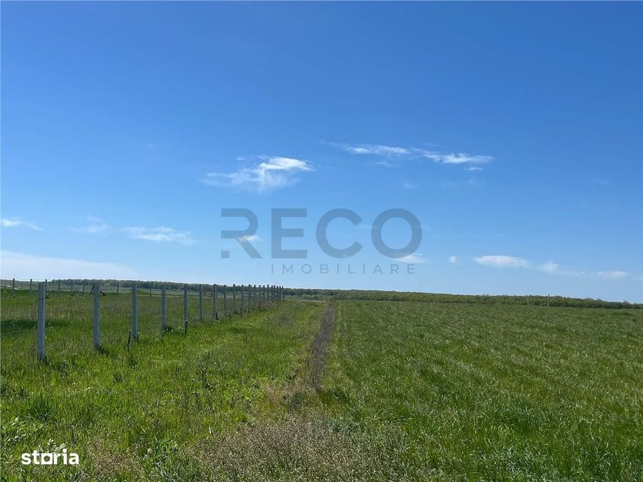RECO teren intravilan Sanmartin