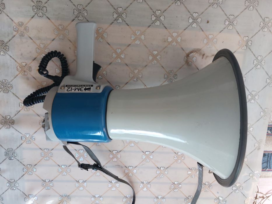 Электромегафон-12