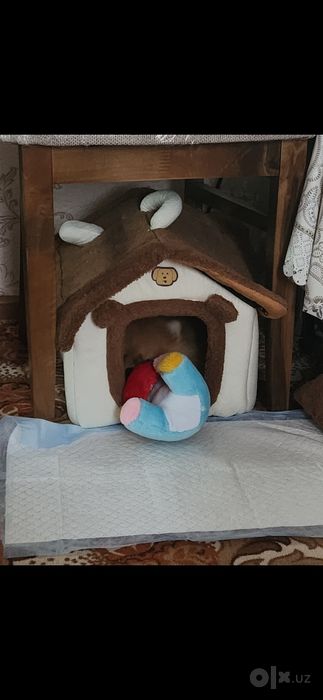 Продам домик для мелких собак и кошек