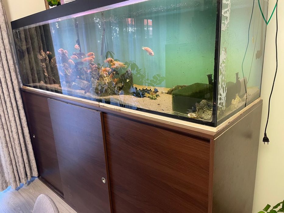 Acvariu 200/60/60 -720 L