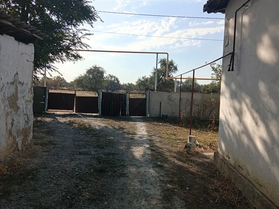 Мойнақ ауылында уй Сатылады