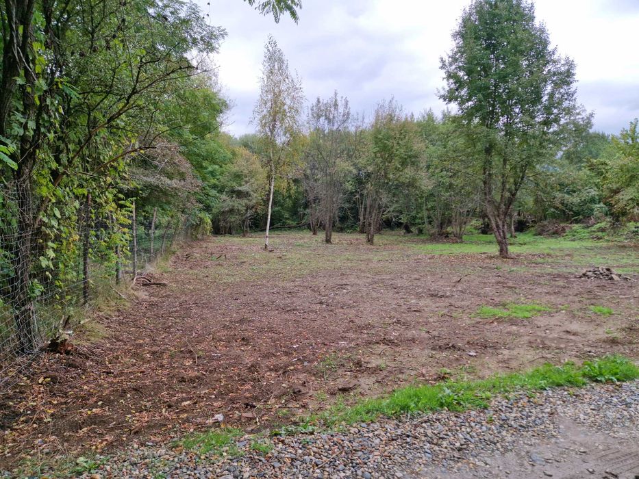 Vând teren Valea Avrigului