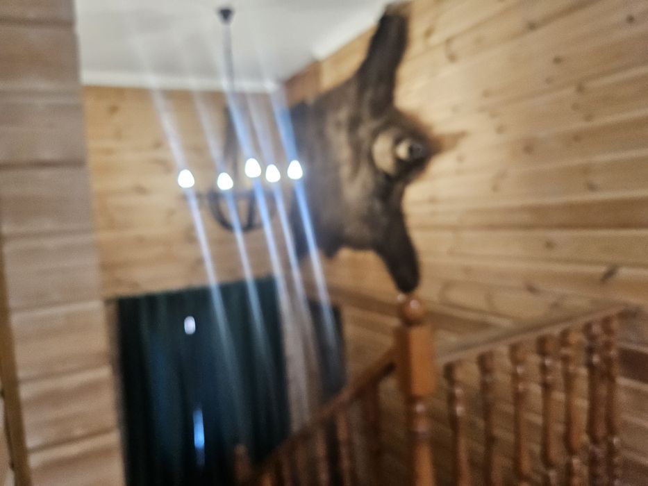 Сауна баня на дровах