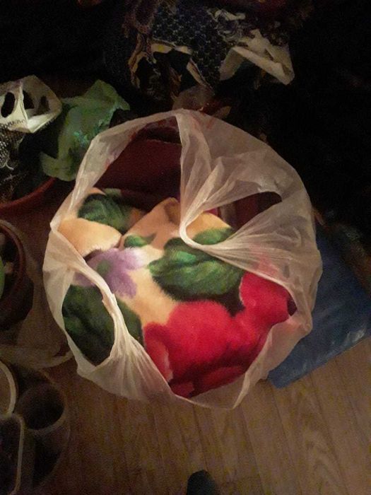 Уй гулине ауыстырамын