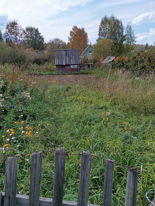 Продам дачу в с/о Медик 1