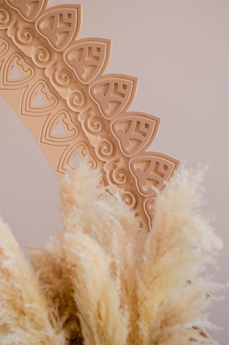 Высокие сухоцветы