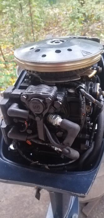 Лодочный мотор EVINRUDE