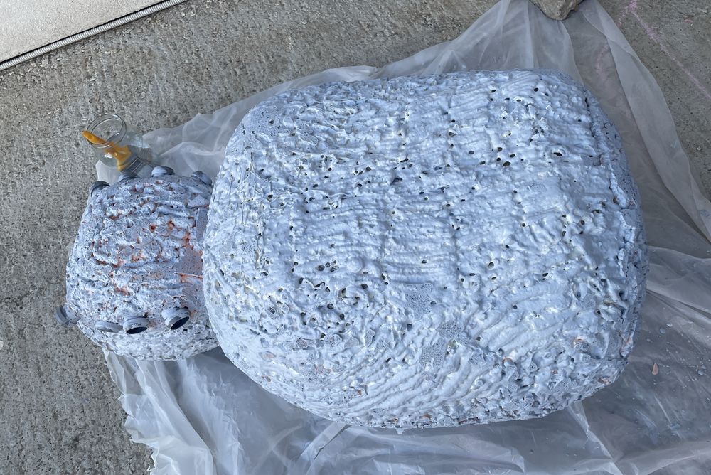 Paianjen urias decor Halloween