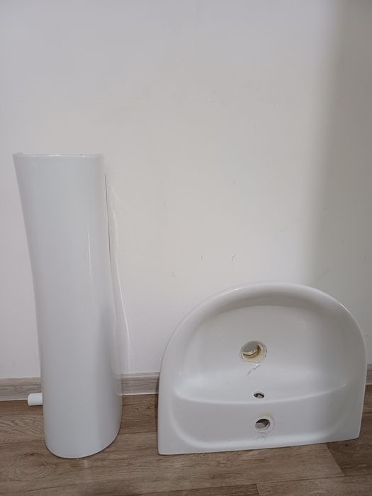 Раковина тюльпан