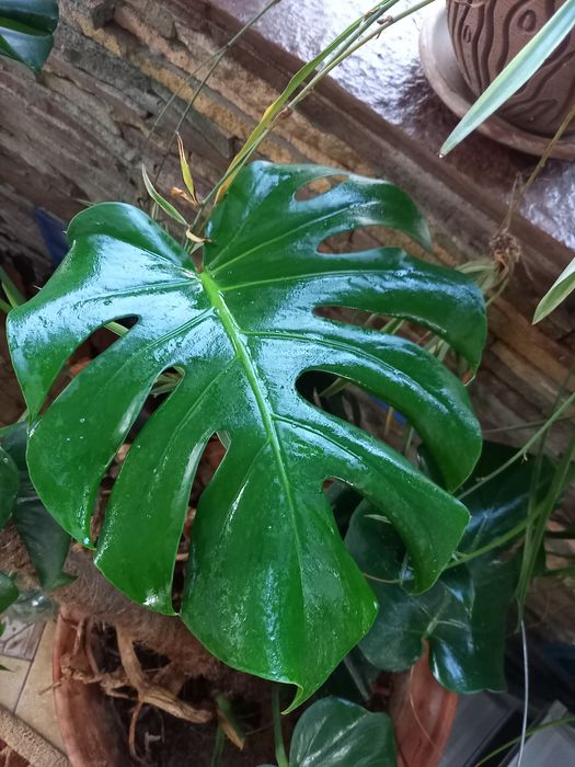 Клининг приглашаю девушек с опытом