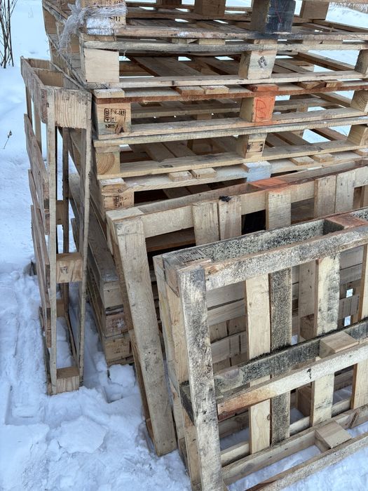 Продам поддоныдон , свежии