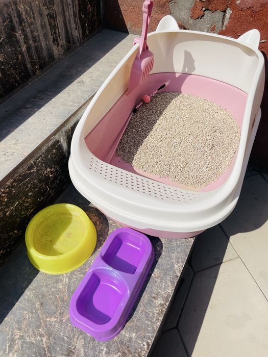 mushuk sotiladi juda yaxshi