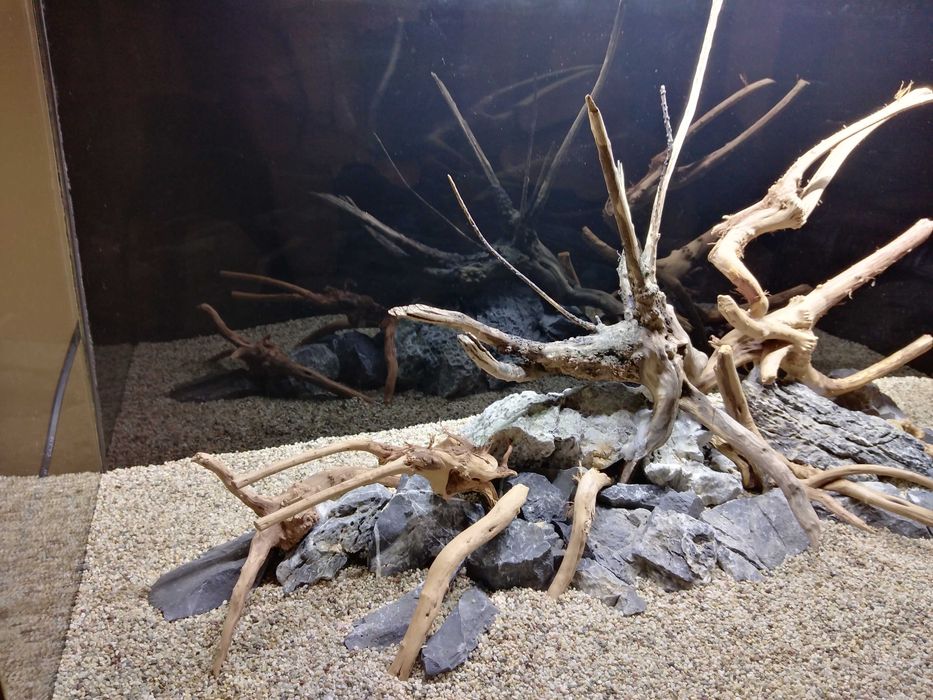 Аквариум Diversa