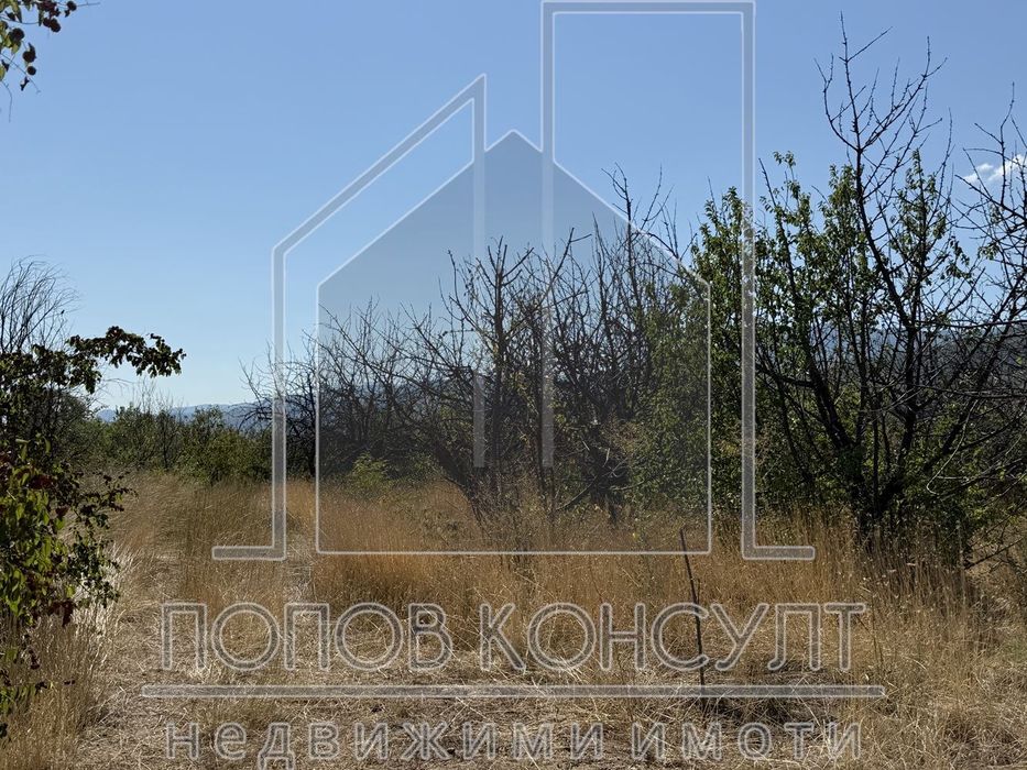 Продава се Парцел в с. Брестник, Област Пловдив - 6123 кв.м за 33 €/кв.м - Снимка #2