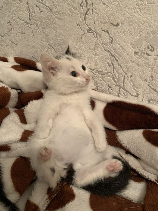 Мир не без добрых людей