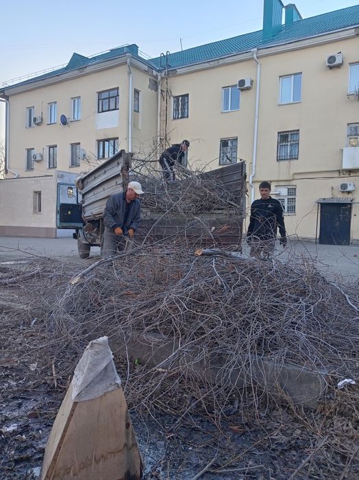 Вывоз мусора, хлама, на тбо,