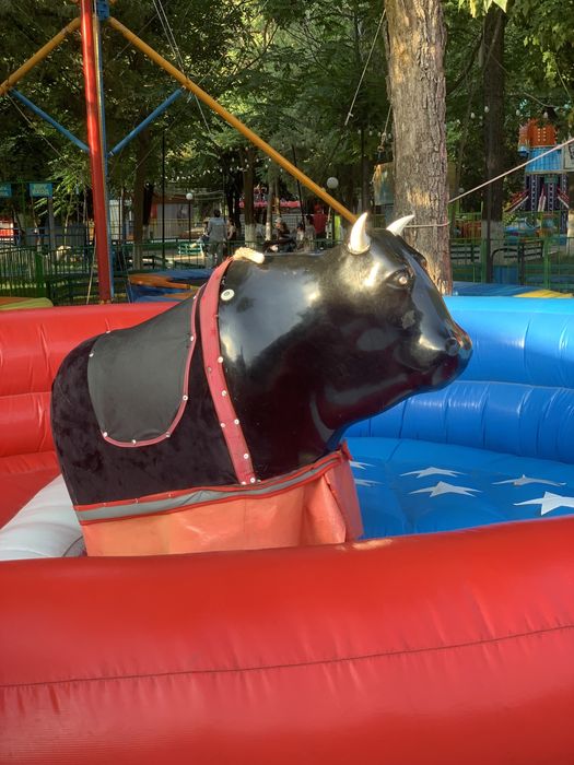 Призавой Буха Бик