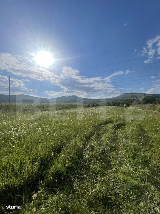 Teren intravilan Viisoara – ideal pentru casa sau investitie